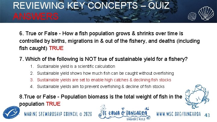 REVIEWING KEY CONCEPTS – QUIZ ANSWERS 6. True or False - How a fish