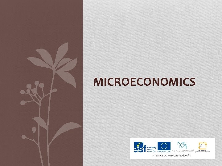 MICROECONOMICS 