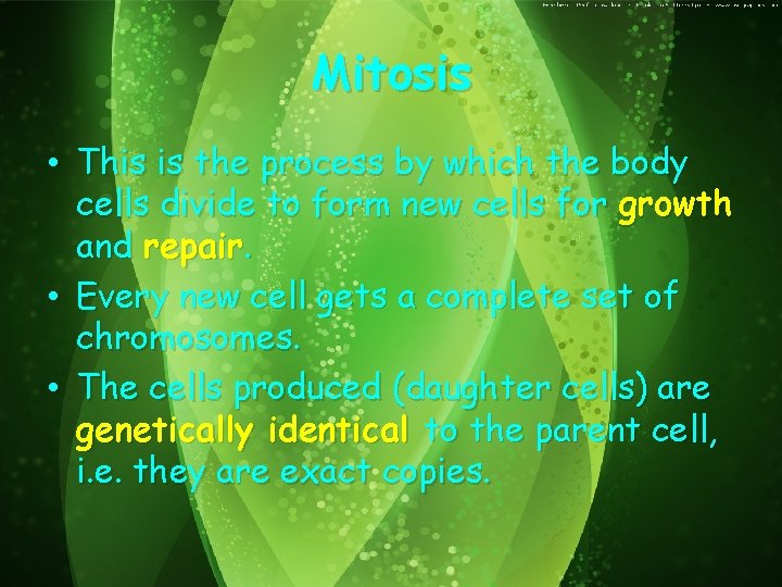 Mitosis • This is the process by which the body cells divide to form