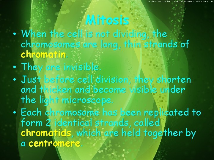 Mitosis • When the cell is not dividing, the chromosomes are long, thin strands