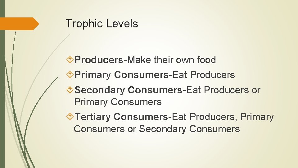 Trophic Levels Producers-Make their own food Primary Consumers-Eat Producers Secondary Consumers-Eat Producers or Primary