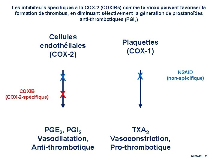 Les inhibiteurs spécifiques à la COX-2 (COXIBs) comme le Vioxx peuvent favoriser la formation Les inhibiteurs spécifiques à la COX-2 (COXIBs) comme le Vioxx peuvent favoriser la formation