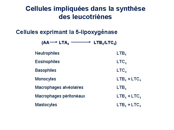Cellules impliquées dans la synthèse des leucotriènes Cellules exprimant la 5 -lipoxygénase (AA LTA Cellules impliquées dans la synthèse des leucotriènes Cellules exprimant la 5 -lipoxygénase (AA LTA