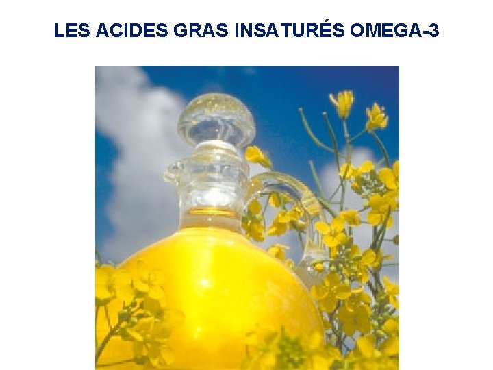 LES ACIDES GRAS INSATURÉS OMEGA-3 LES ACIDES GRAS INSATURÉS OMEGA-3