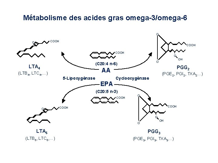 Métabolisme des acides gras omega-3/omega-6 O COOH O (C 20: 4 n-6) LTA 4 Métabolisme des acides gras omega-3/omega-6 O COOH O (C 20: 4 n-6) LTA 4