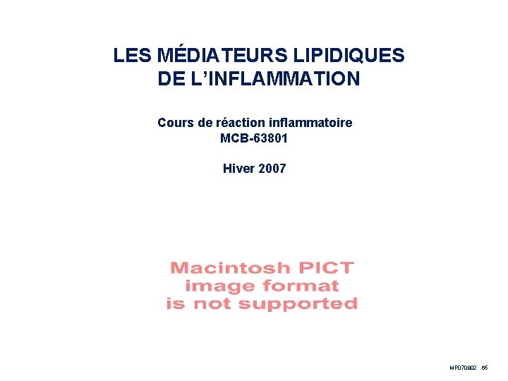 LES MÉDIATEURS LIPIDIQUES DE L’INFLAMMATION Cours de réaction inflammatoire MCB-63801 Hiver 2007 MP 070802 LES MÉDIATEURS LIPIDIQUES DE L’INFLAMMATION Cours de réaction inflammatoire MCB-63801 Hiver 2007 MP 070802