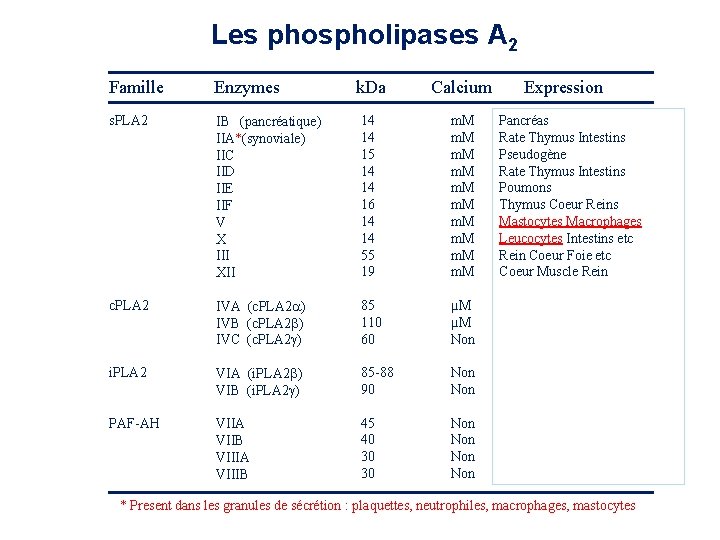 Les phospholipases A 2 Famille Enzymes k. Da Calcium s. PLA 2 IB (pancréatique) Les phospholipases A 2 Famille Enzymes k. Da Calcium s. PLA 2 IB (pancréatique)