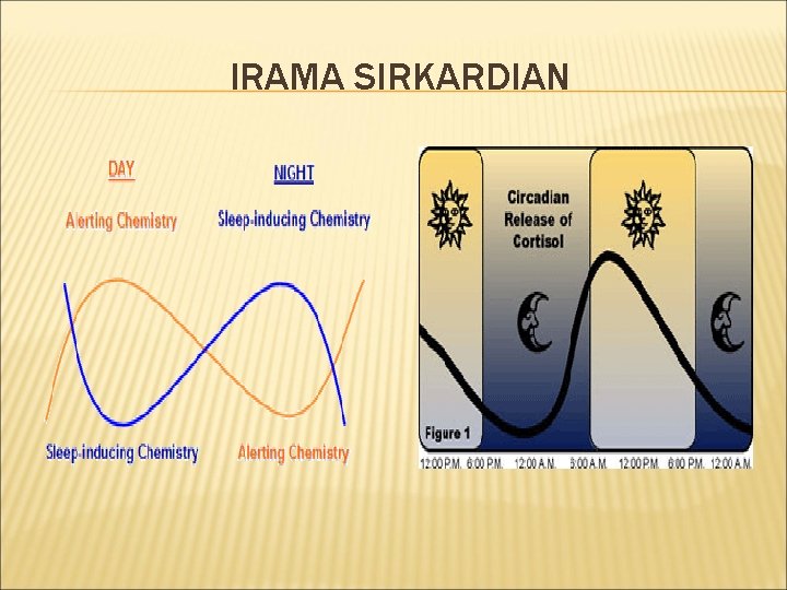 IRAMA SIRKARDIAN 