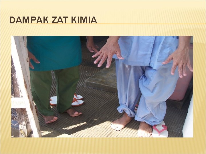 DAMPAK ZAT KIMIA 