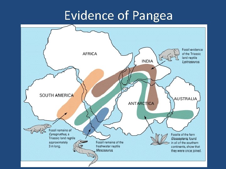 Evidence of Pangea 