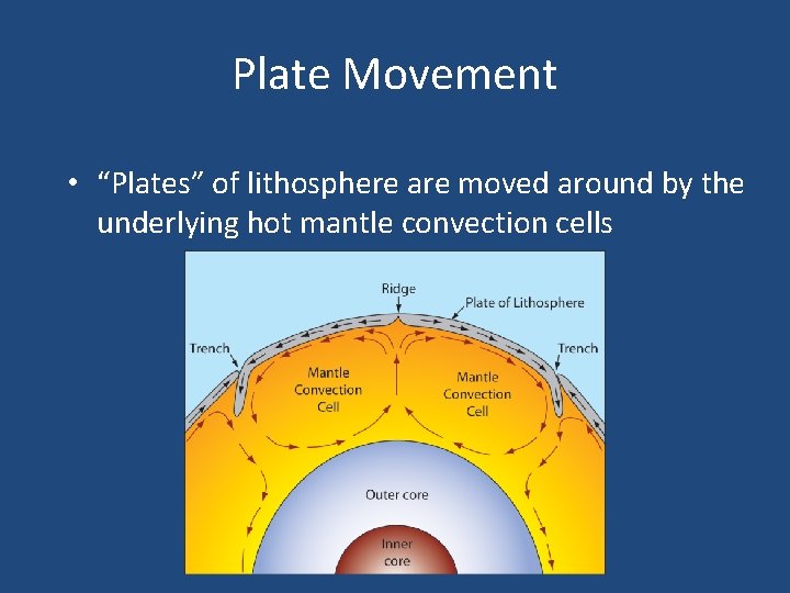 Plate Movement • “Plates” of lithosphere are moved around by the underlying hot mantle
