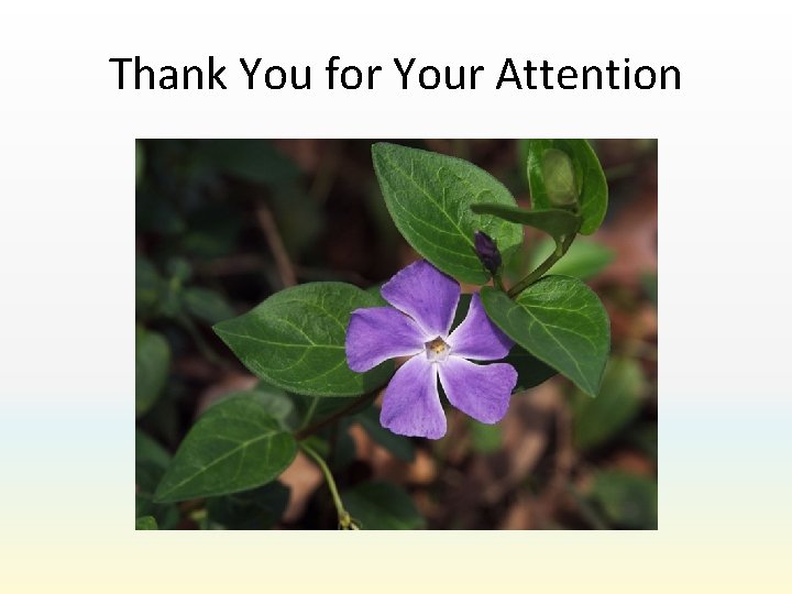 Thank You for Your Attention 