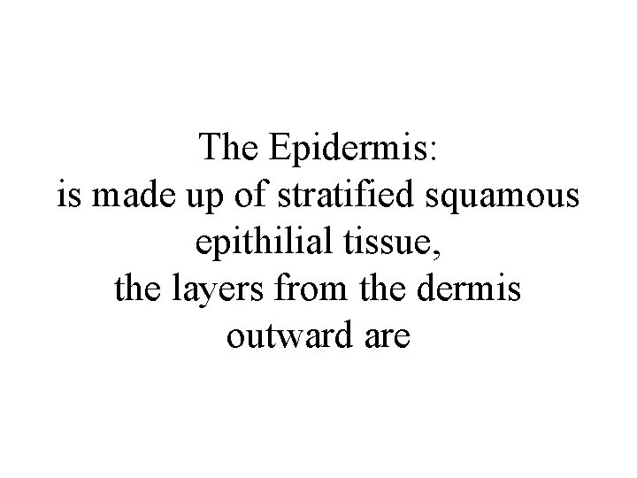 The Epidermis: is made up of stratified squamous epithilial tissue, the layers from the