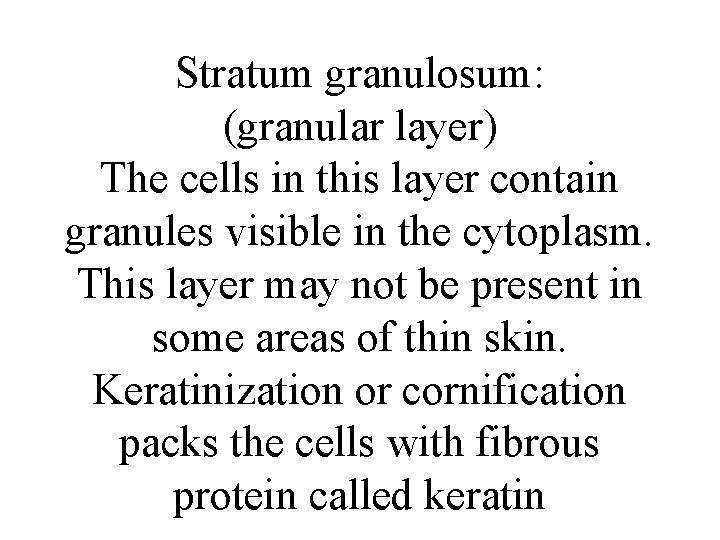 Stratum granulosum: (granular layer) The cells in this layer contain granules visible in the