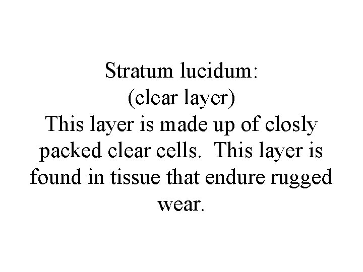 Stratum lucidum: (clear layer) This layer is made up of closly packed clear cells.