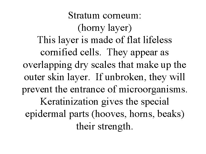 Stratum corneum: (horny layer) This layer is made of flat lifeless cornified cells. They