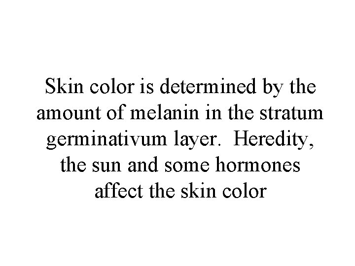 Skin color is determined by the amount of melanin in the stratum germinativum layer.