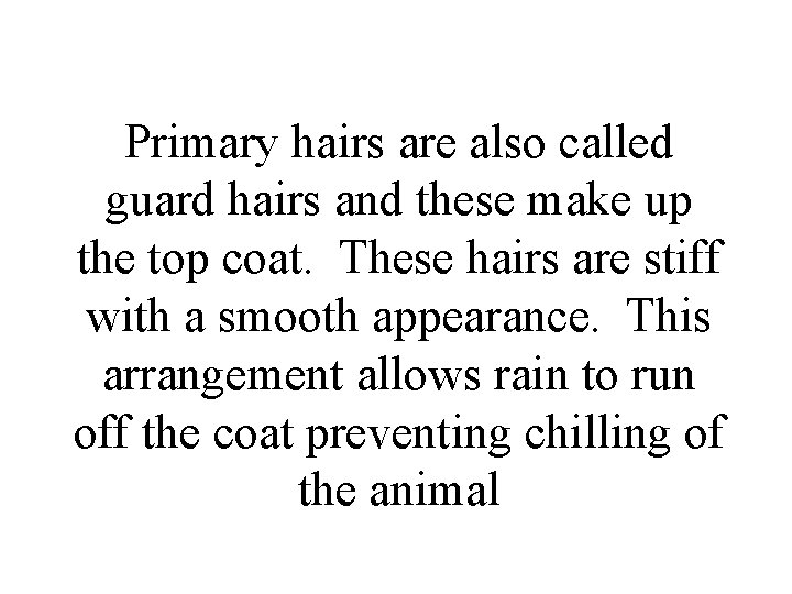 Primary hairs are also called guard hairs and these make up the top coat.