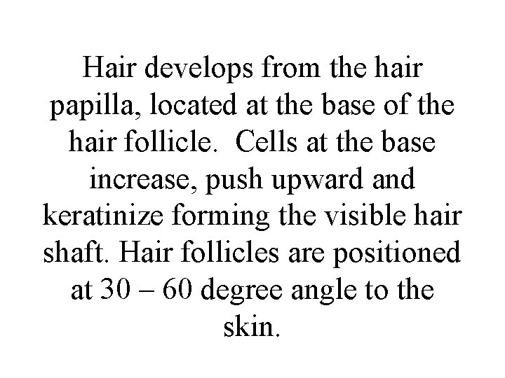 Hair develops from the hair papilla, located at the base of the hair follicle.