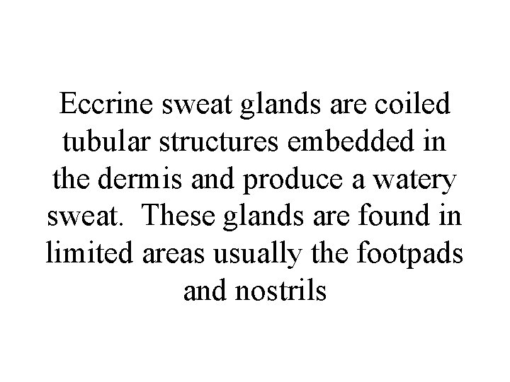 Eccrine sweat glands are coiled tubular structures embedded in the dermis and produce a