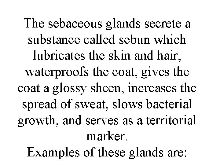 The sebaceous glands secrete a substance called sebun which lubricates the skin and hair,