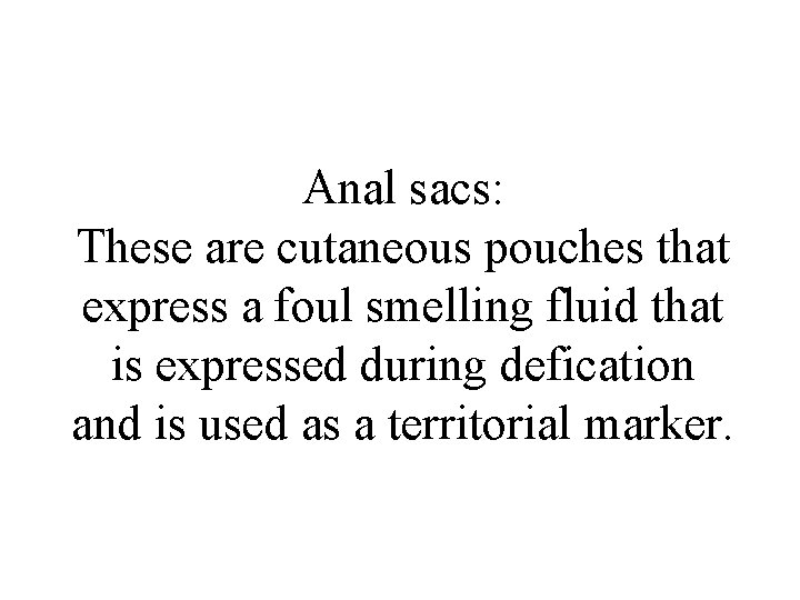 Anal sacs: These are cutaneous pouches that express a foul smelling fluid that is