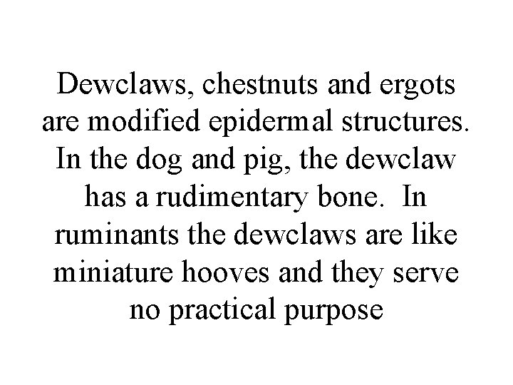 Dewclaws, chestnuts and ergots are modified epidermal structures. In the dog and pig, the