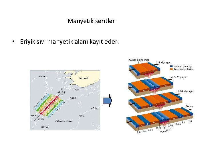 Manyetik şeritler • Eriyik sıvı manyetik alanı kayıt eder. 