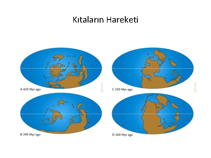 Kıtaların Hareketi 