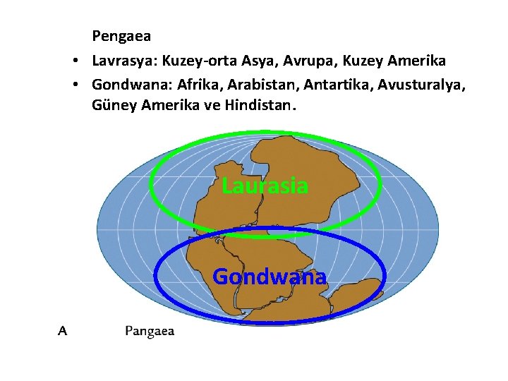 Pengaea • Lavrasya: Kuzey-orta Asya, Avrupa, Kuzey Amerika • Gondwana: Afrika, Arabistan, Antartika, Avusturalya,