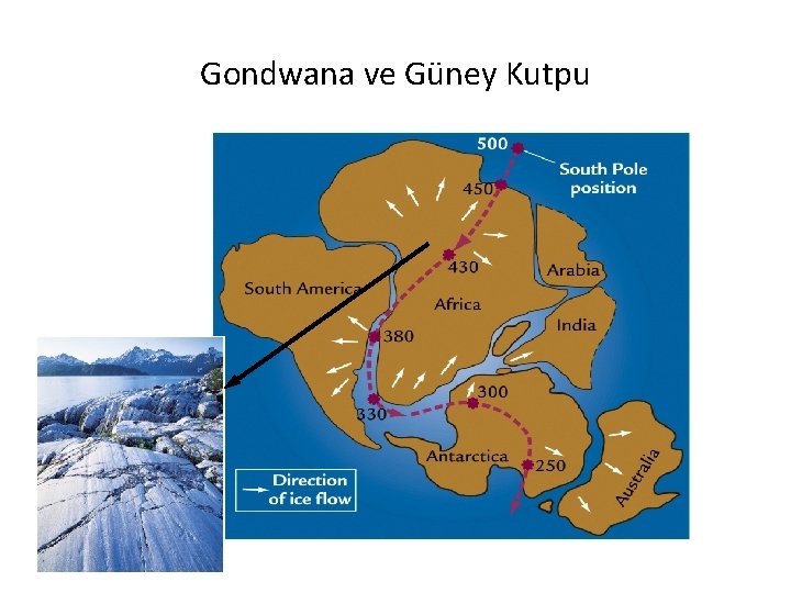 Gondwana ve Güney Kutpu 