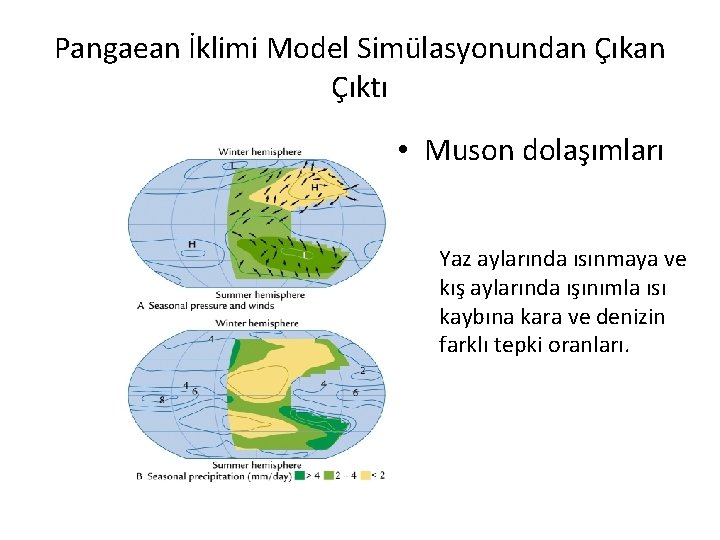 Pangaean İklimi Model Simülasyonundan Çıktı • Muson dolaşımları Yaz aylarında ısınmaya ve kış aylarında