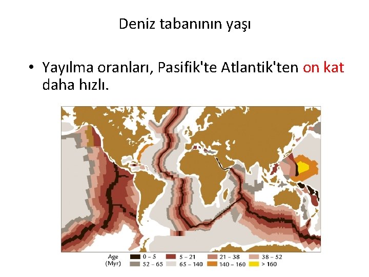 Deniz tabanının yaşı • Yayılma oranları, Pasifik'te Atlantik'ten on kat daha hızlı. 