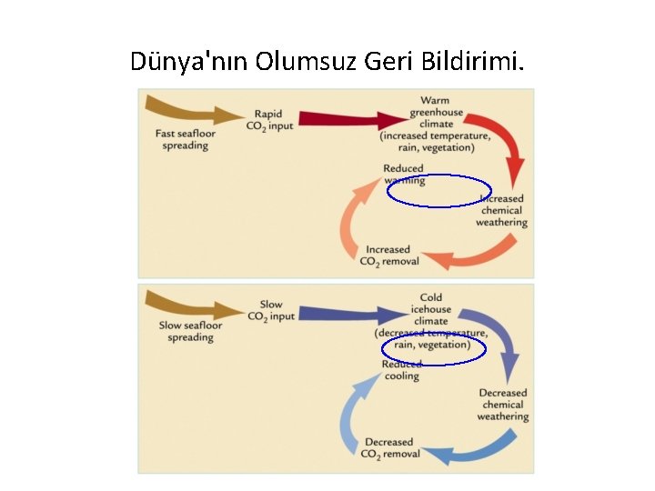 Dünya'nın Olumsuz Geri Bildirimi. 