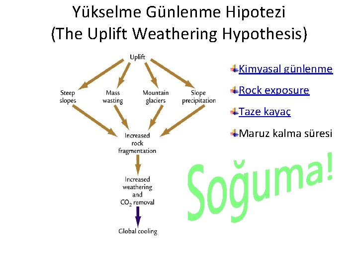 Yükselme Günlenme Hipotezi (The Uplift Weathering Hypothesis) Kimyasal günlenme Rock exposure Taze kayaç Maruz