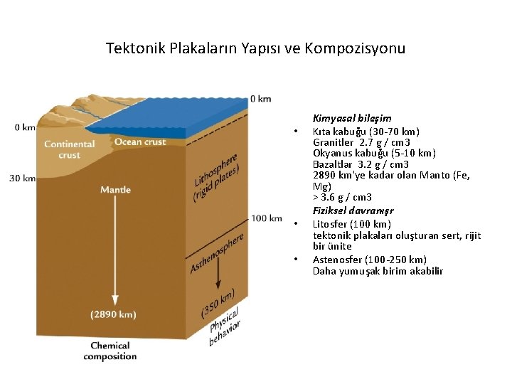 Tektonik Plakaların Yapısı ve Kompozisyonu • • • Kimyasal bileşim Kıta kabuğu (30 -70