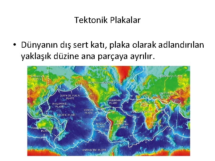 Tektonik Plakalar • Dünyanın dış sert katı, plaka olarak adlandırılan yaklaşık düzine ana parçaya