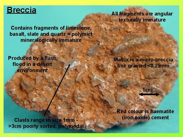 Breccia All fragments are angular texturally immature Contains fragments of limestone, basalt, slate and