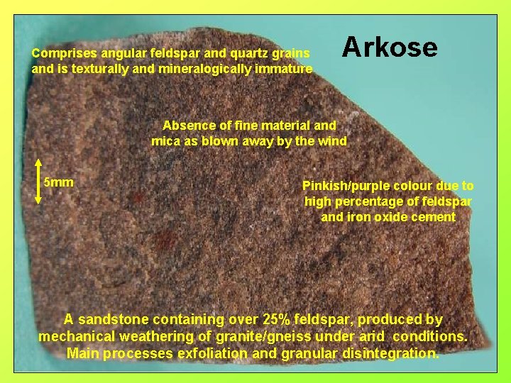 Comprises angular feldspar and quartz grains and is texturally and mineralogically immature Arkose Absence