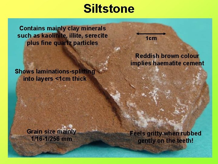 Siltstone Contains mainly clay minerals such as kaolinite, illite, serecite plus fine quartz particles