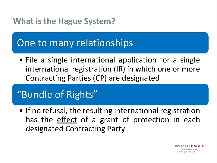 What is the Hague System? One to many relationships • File a single international