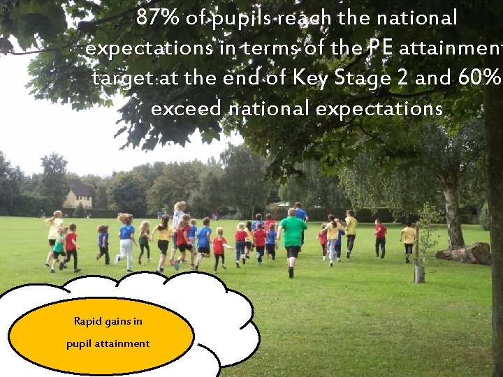 87% of pupils reach the national expectations in terms of the PE attainment target