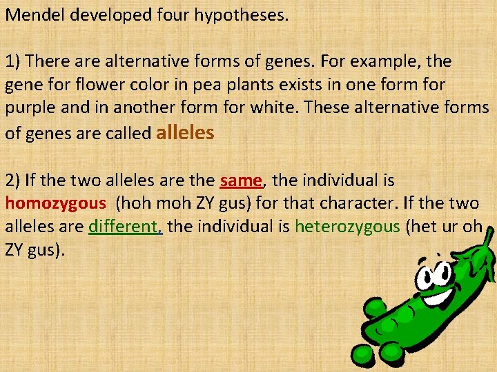 Mendel developed four hypotheses. 1) There alternative forms of genes. For example, the gene