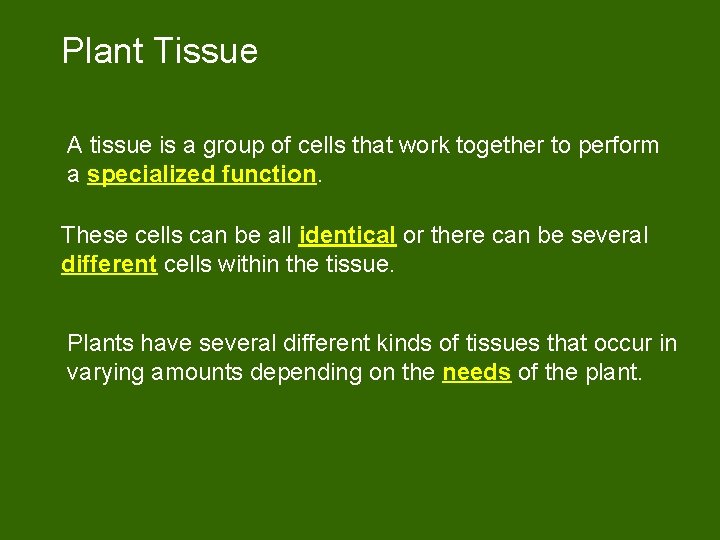 Plant Tissue A tissue is a group of cells that work together to perform