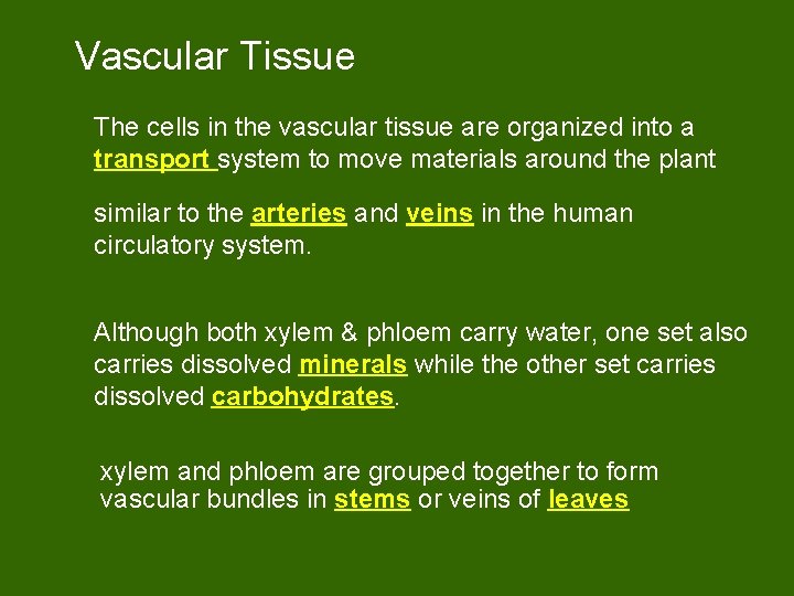 Vascular Tissue The cells in the vascular tissue are organized into a transport system