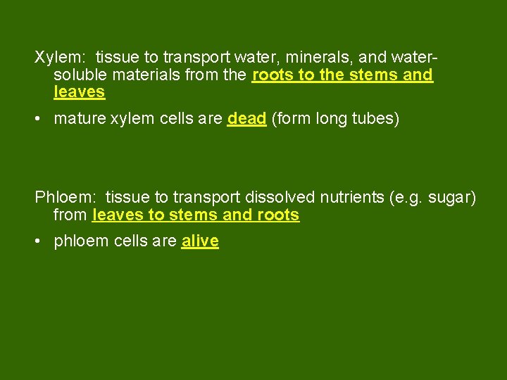 Xylem: tissue to transport water, minerals, and watersoluble materials from the roots to the