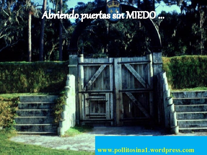 Abriendo puertas sin MIEDO. . . www. pollitosina 1. wordpress. com 