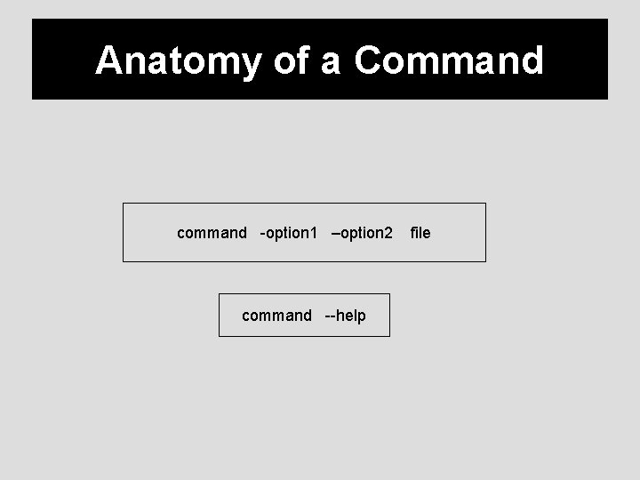 Anatomy of a Command command -option 1 –option 2 command --help file 