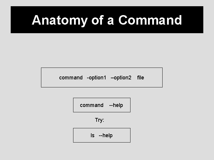 Anatomy of a Command command -option 1 –option 2 command --help Try: ls --help