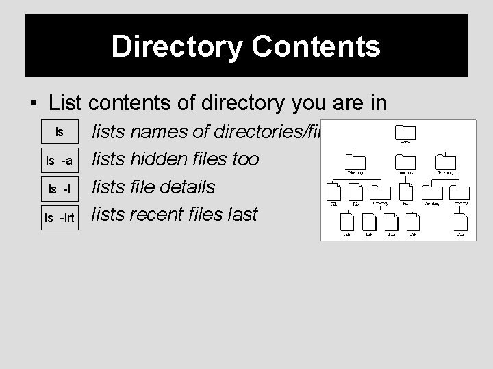 Directory Contents • List contents of directory you are in ls ls -a ls